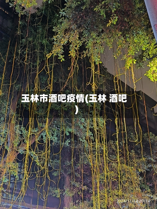 玉林市酒吧疫情(玉林 酒吧)