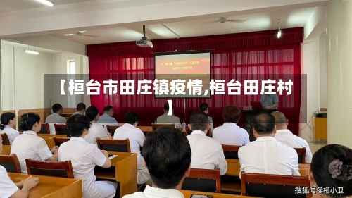 【桓台市田庄镇疫情,桓台田庄村】-第2张图片