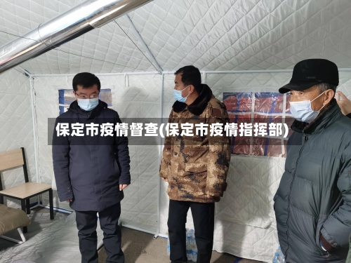 保定市疫情督查(保定市疫情指挥部)-第2张图片