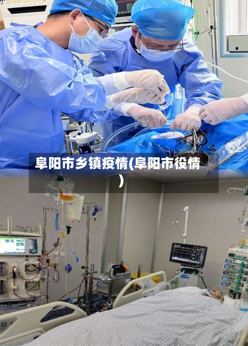 阜阳市乡镇疫情(阜阳市役情)