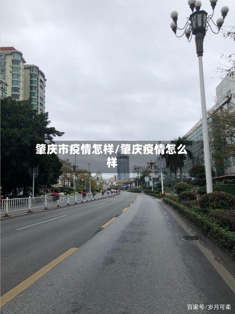 肇庆市疫情怎样/肇庆疫情怎么样-第1张图片