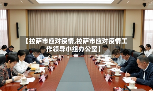 【拉萨市应对疫情,拉萨市应对疫情工作领导小组办公室】-第2张图片