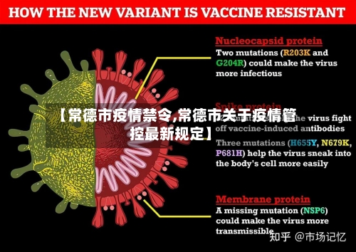 【常德市疫情禁令,常德市关于疫情管控最新规定】-第2张图片
