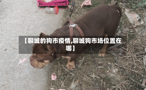 【聊城的狗市疫情,聊城狗市场位置在哪】