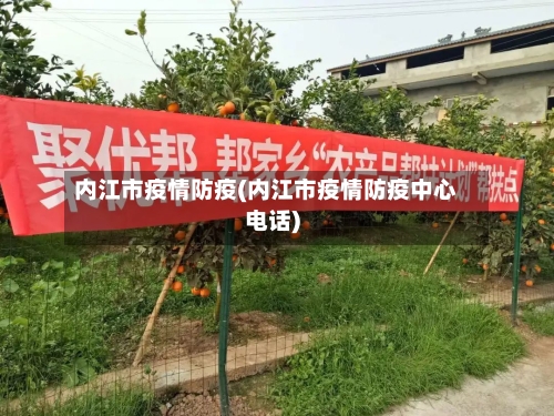 内江市疫情防疫(内江市疫情防疫中心电话)-第1张图片