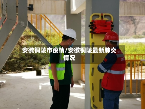 安徽铜陵市疫情/安徽铜陵最新肺炎情况-第3张图片