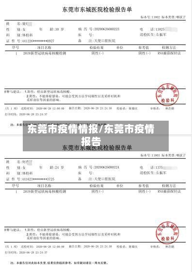 东莞市疫情情报/东莞市疫情报告