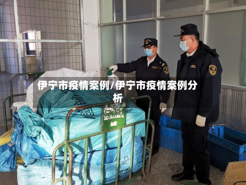 伊宁市疫情案例/伊宁市疫情案例分析-第1张图片