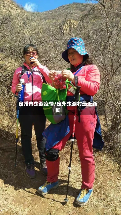 定州市东湖疫情/定州东湖村最近新闻-第3张图片