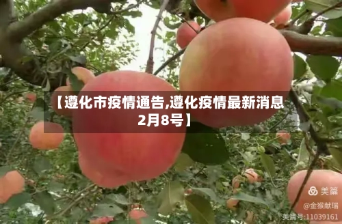 【遵化市疫情通告,遵化疫情最新消息2月8号】-第1张图片