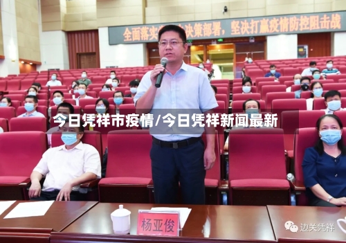 今日凭祥市疫情/今日凭祥新闻最新-第2张图片