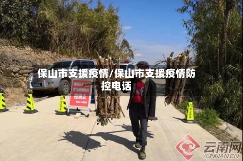 保山市支援疫情/保山市支援疫情防控电话-第3张图片