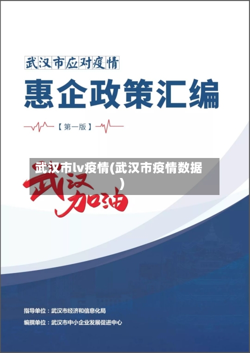武汉市lv疫情(武汉市疫情数据)-第2张图片