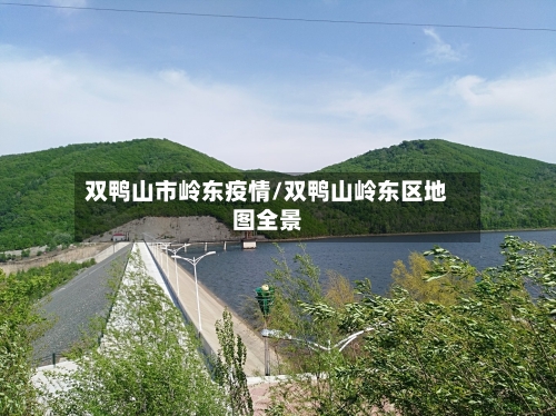 双鸭山市岭东疫情/双鸭山岭东区地图全景-第3张图片