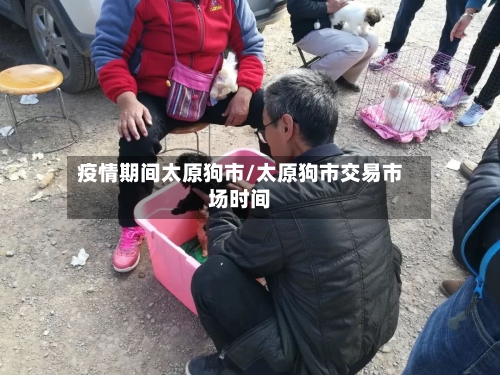 疫情期间太原狗市/太原狗市交易市场时间-第1张图片