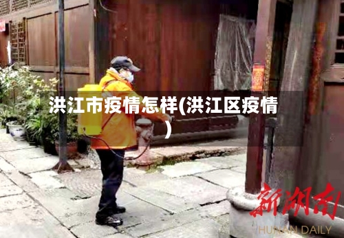 洪江市疫情怎样(洪江区疫情)-第2张图片