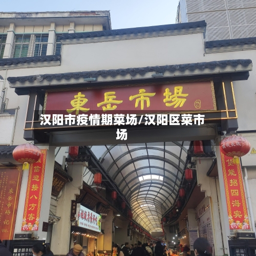 汉阳市疫情期菜场/汉阳区菜市场-第2张图片