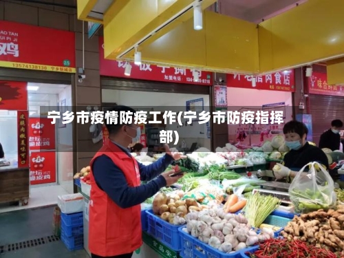 宁乡市疫情防疫工作(宁乡市防疫指挥部)-第2张图片