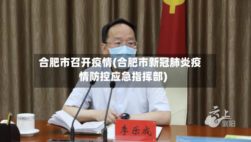 合肥市召开疫情(合肥市新冠肺炎疫情防控应急指挥部)-第1张图片