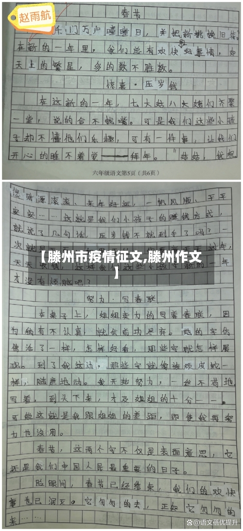 【滕州市疫情征文,滕州作文】-第1张图片