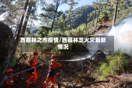 西藏林之市疫情/西藏林芝火灾最新情况-第1张图片