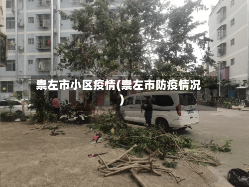 崇左市小区疫情(崇左市防疫情况)-第1张图片