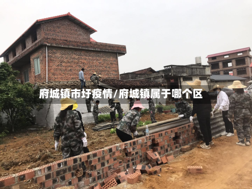 府城镇市圩疫情/府城镇属于哪个区-第2张图片