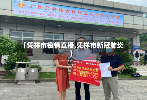 【凭祥市疫情直播,凭祥市新冠肺炎】-第3张图片