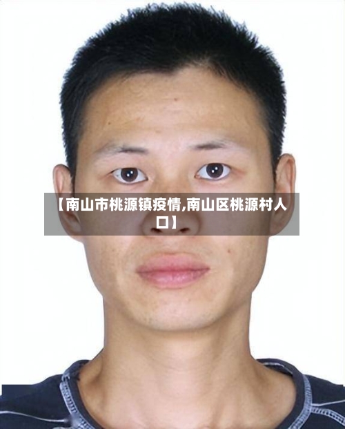 【南山市桃源镇疫情,南山区桃源村人口】