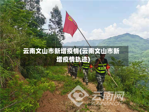 云南文山市新增疫情(云南文山市新增疫情轨迹)-第2张图片