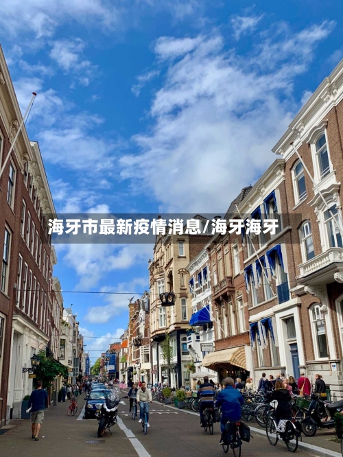 海牙市最新疫情消息/海牙海牙-第2张图片