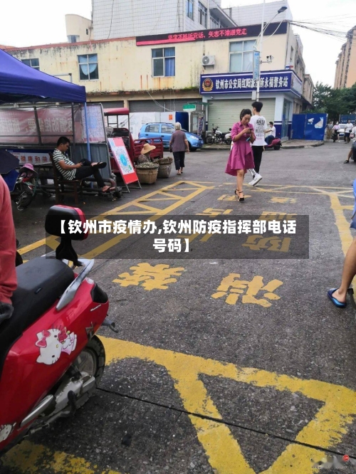 【钦州市疫情办,钦州防疫指挥部电话号码】-第1张图片