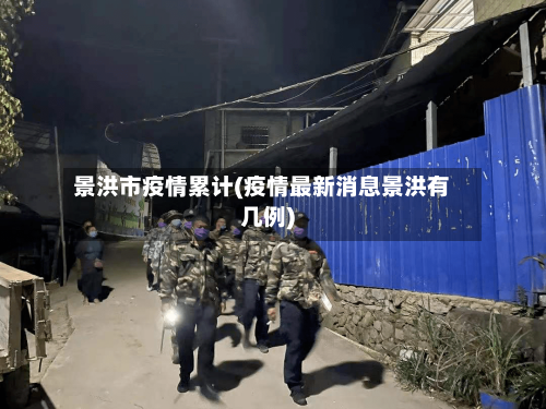 景洪市疫情累计(疫情最新消息景洪有几例)-第2张图片