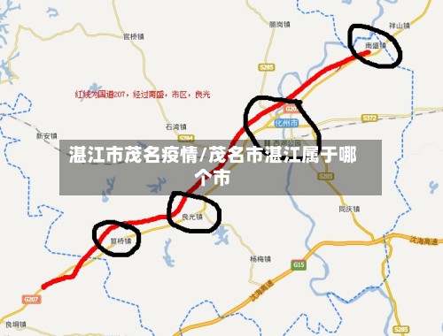 湛江市茂名疫情/茂名市湛江属于哪个市-第2张图片