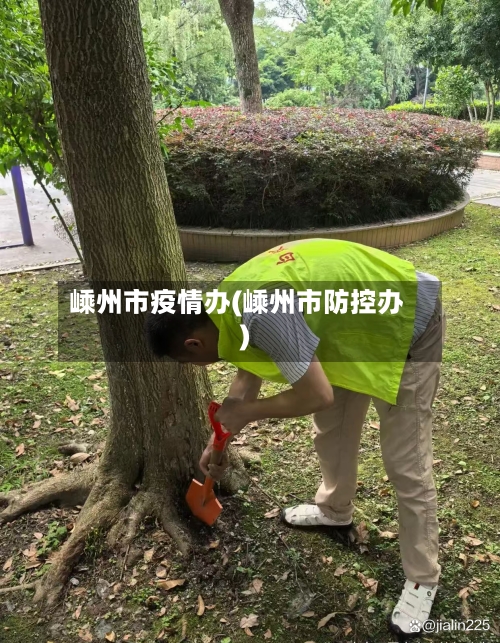 嵊州市疫情办(嵊州市防控办)-第1张图片