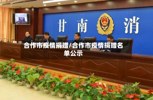 合作市疫情捐赠/合作市疫情捐赠名单公示-第2张图片