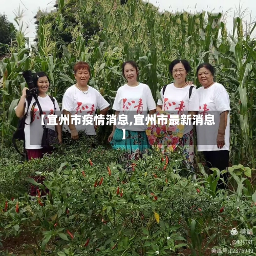 【宜州市疫情消息,宜州市最新消息】-第2张图片