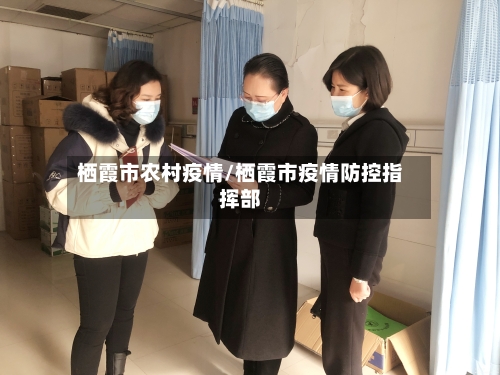 栖霞市农村疫情/栖霞市疫情防控指挥部-第1张图片