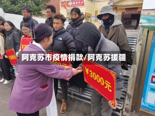 阿克苏市疫情捐款/阿克苏援疆