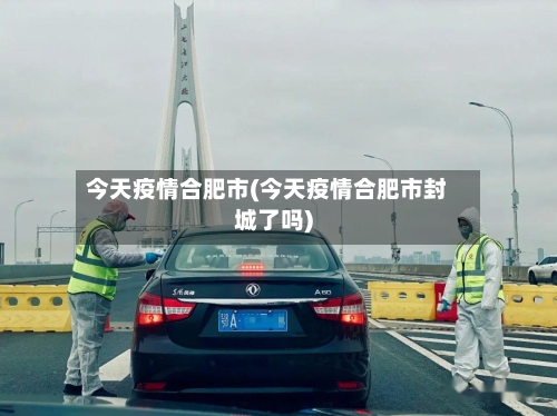 今天疫情合肥市(今天疫情合肥市封城了吗)-第3张图片