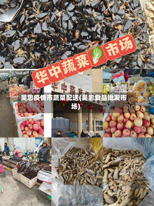 吴忠疫情市蔬菜配送(吴忠食品批发市场)-第1张图片