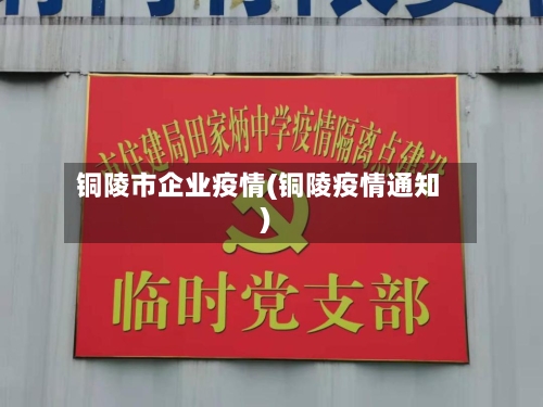铜陵市企业疫情(铜陵疫情通知)-第1张图片