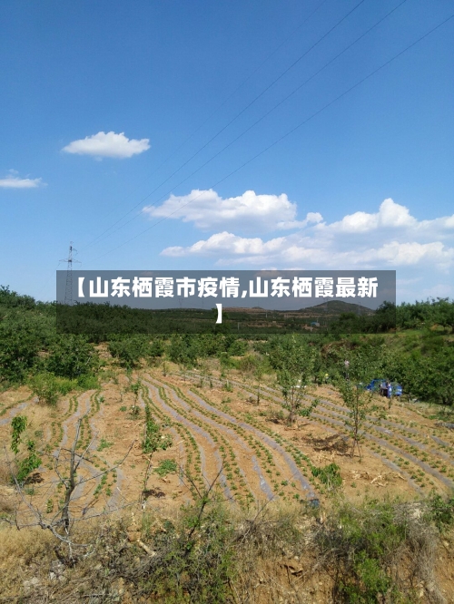 【山东栖霞市疫情,山东栖霞最新】-第1张图片