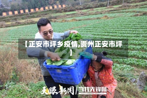 【正安市坪乡疫情,贵州正安市坪】-第2张图片