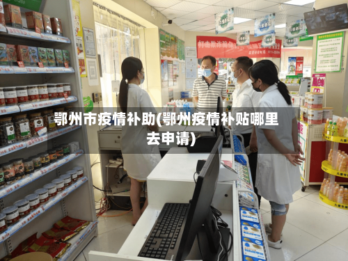 鄂州市疫情补助(鄂州疫情补贴哪里去申请)
