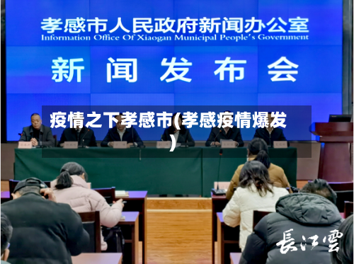 疫情之下孝感市(孝感疫情爆发)-第2张图片