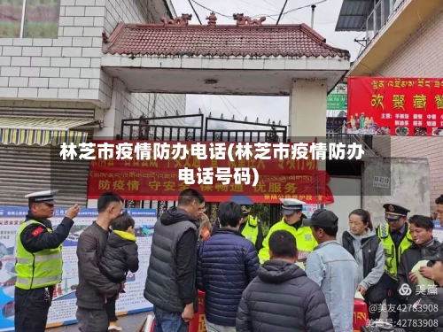 林芝市疫情防办电话(林芝市疫情防办电话号码)-第1张图片