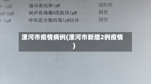 漯河市疫情病例(漯河市新增2例疫情)-第2张图片