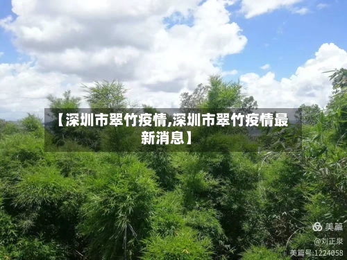 【深圳市翠竹疫情,深圳市翠竹疫情最新消息】-第2张图片