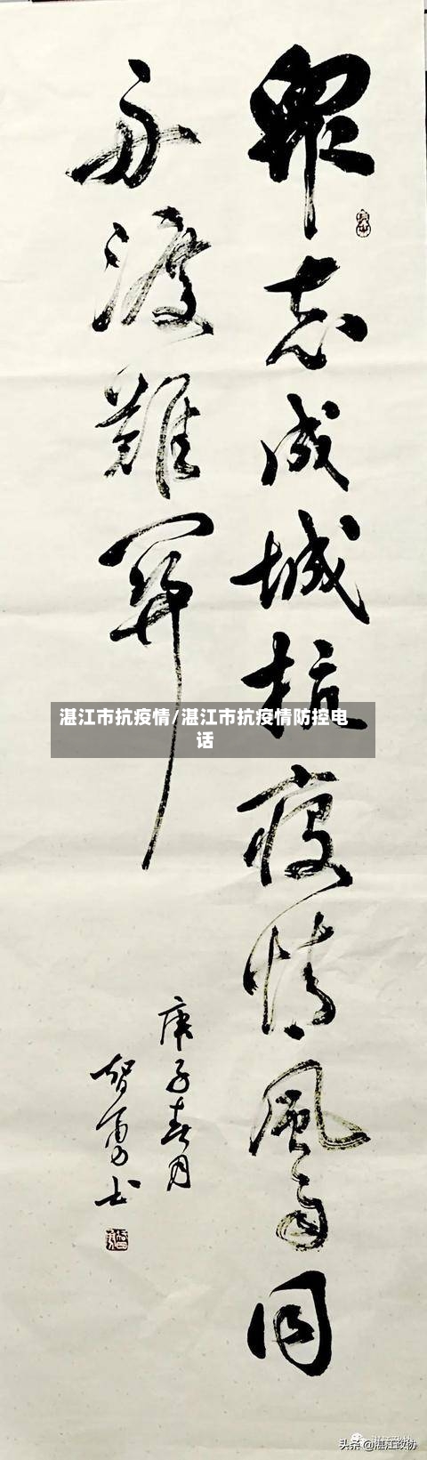 湛江市抗疫情/湛江市抗疫情防控电话-第2张图片